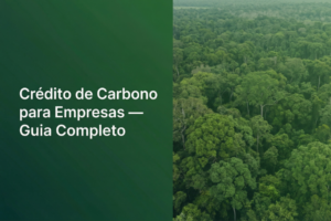 crédito de carbono para empresas
